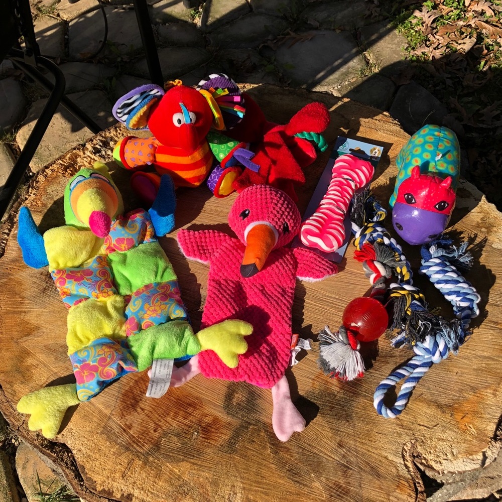 🐶 Dog Toy Lot 🐶